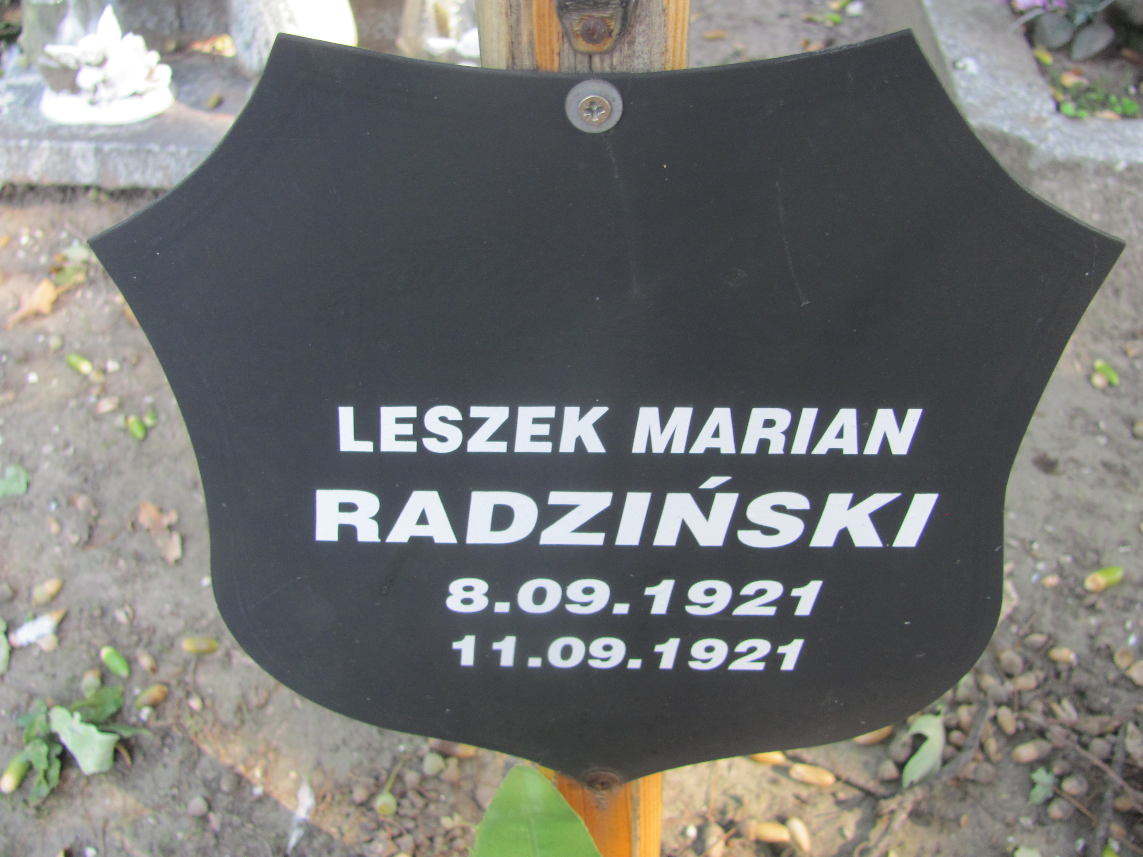 Zdjęcie grobu