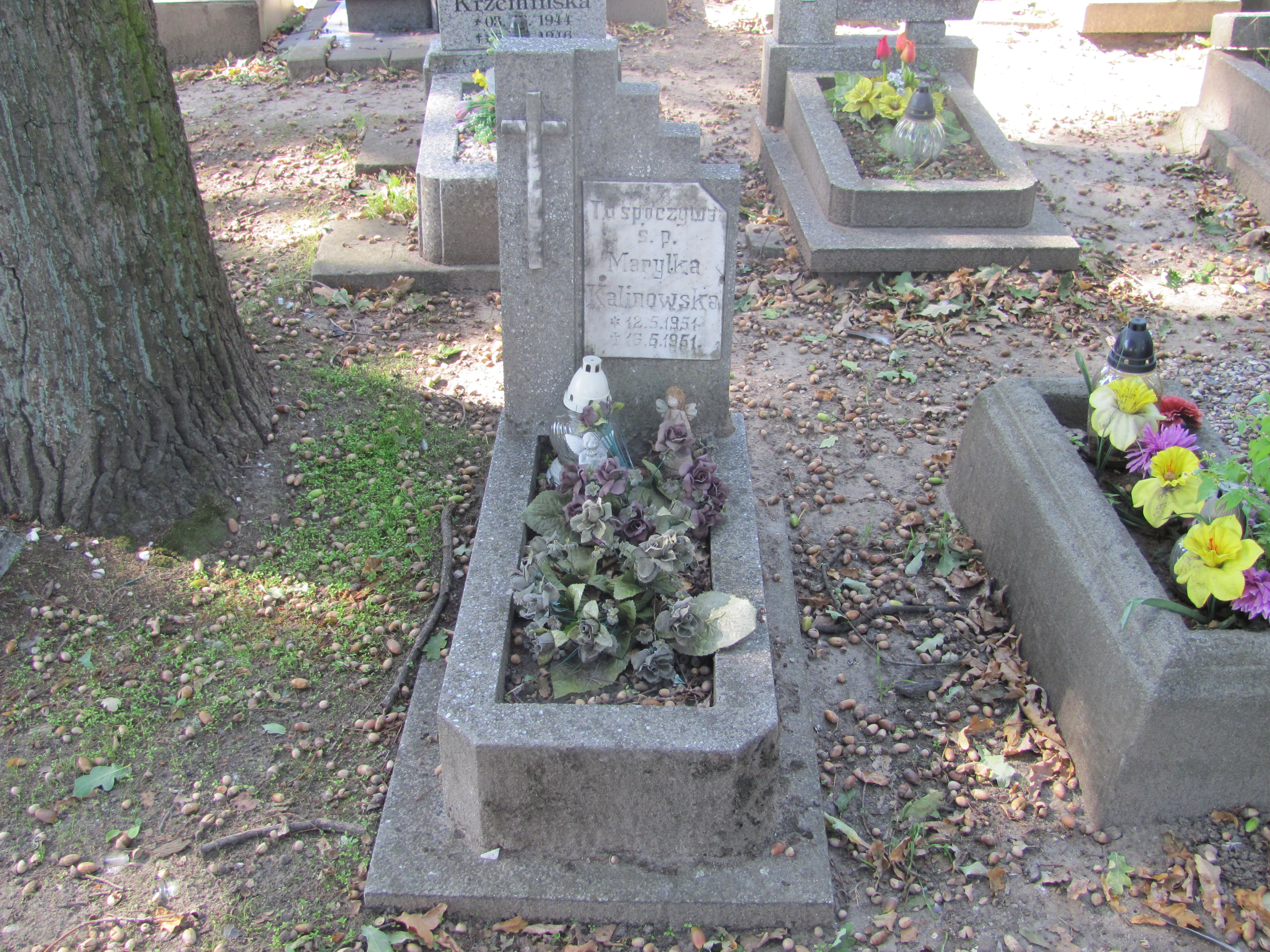 Grób Marylka Kalinowska