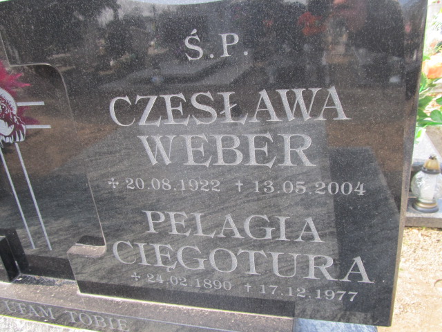 Cięgotura Pelagia 1890 Inowrocław - Grobonet - Wyszukiwarka osób pochowanych