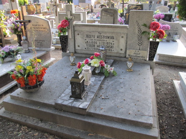 Grób Teodor Wesołowski