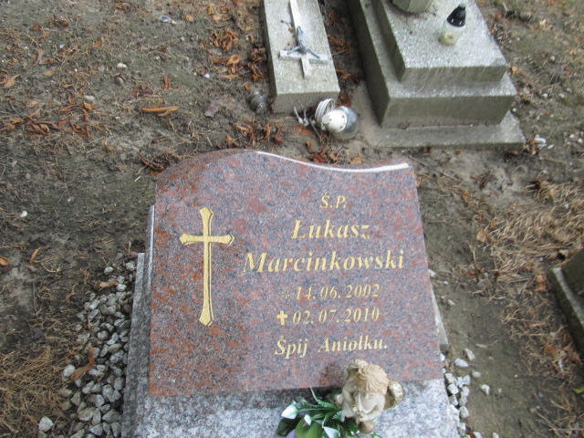 Ewa Borowicz 1954 Inowrocław - Grobonet - Wyszukiwarka osób pochowanych