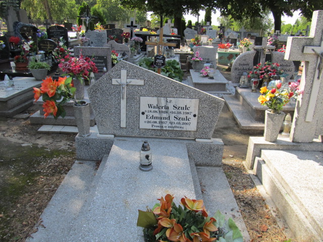Grób Waleria Szulc