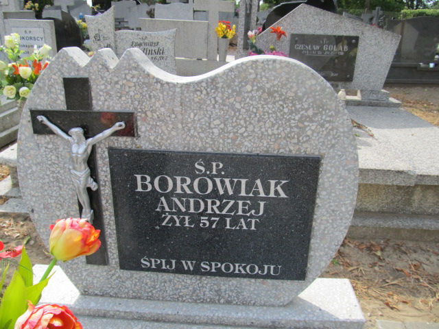 Andrzej Borowiak 1956 Inowrocław - Grobonet - Wyszukiwarka osób pochowanych
