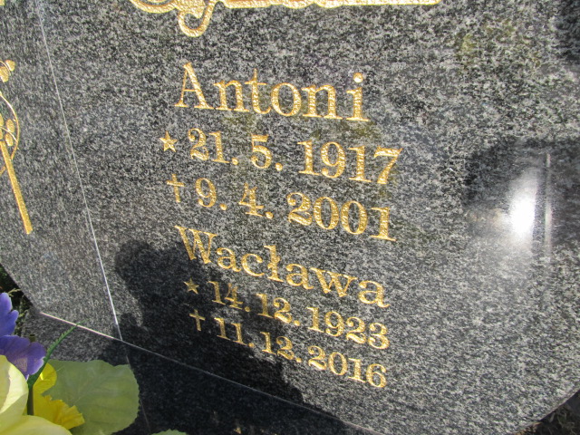 Antoni Cyran 1917 Inowrocław - Grobonet - Wyszukiwarka osób pochowanych